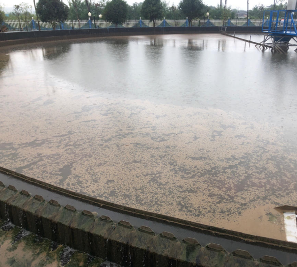 受高濃度工業(yè)廢水沖擊,生活污水廠癱瘓、受罰怎么辦
